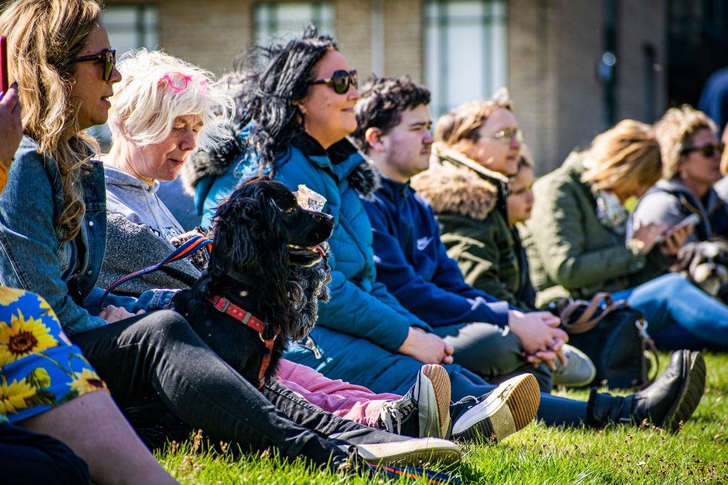 People and their dogs watching an outdoor performance at 'Barking'. Photographer Rob Guest